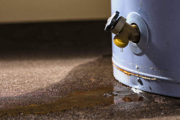 Best Basement water damage restoration  in Fredonia, AZ