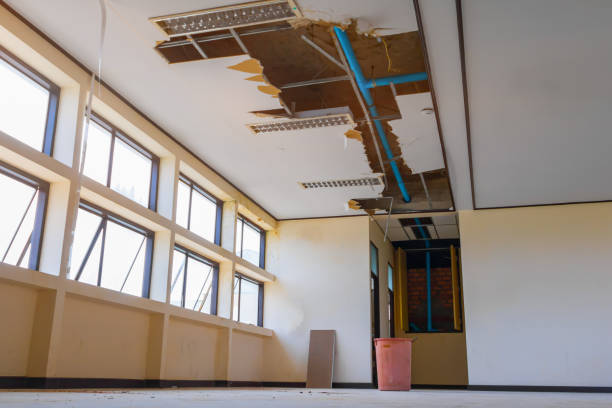 Best Commercial water damage restoration  in Fredonia, AZ