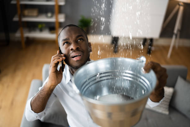 Best Flooded house restoration  in Fredonia, AZ