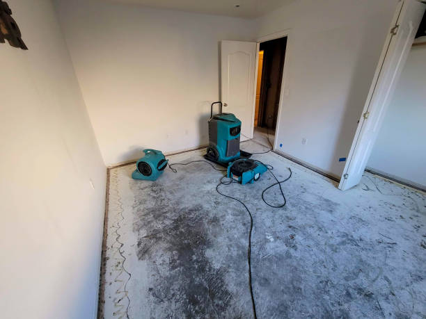  Fredonia, AZ Water damage restoration Pros