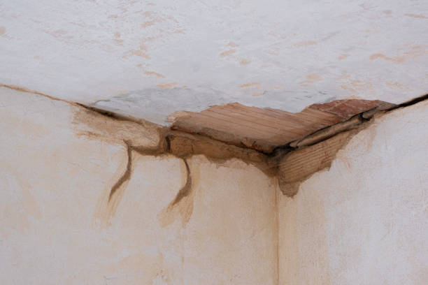 Best Local water damage restoration  in Fredonia, AZ