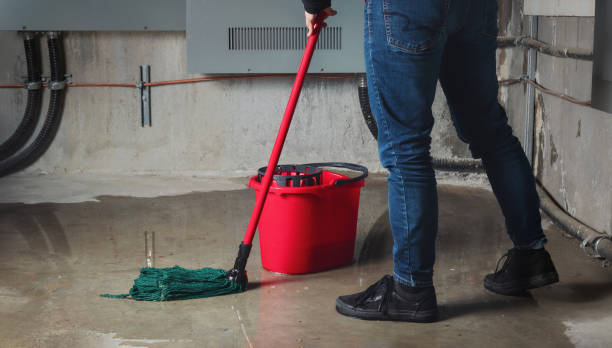 Best Water damage restoration near me  in Fredonia, AZ