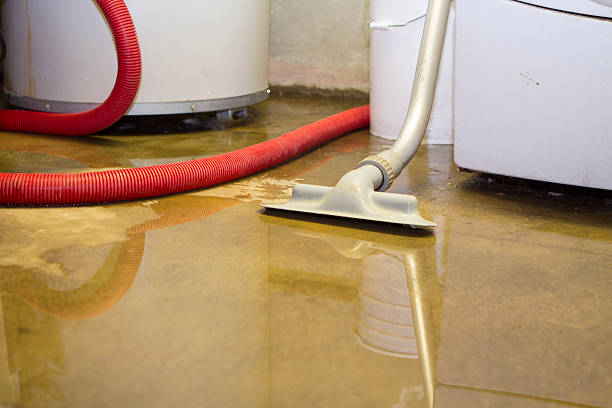  Fredonia, AZ Water damage restoration Pros