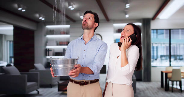 Best Basement water damage restoration  in Fredonia, AZ